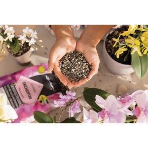 Hände halten Lechuza Orchidpon Orchideenerde, 6 Liter. Spezialsubstrat für Orchideen.
