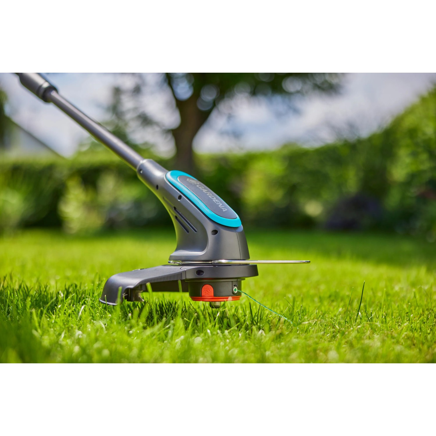 Fabelhafte Akku Trimmer Im Test Bilder