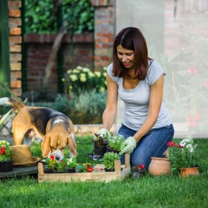 Relaxdays Tomatengewächshaus XL Metall mit Runddach UV-beständig Reißfest 170 cm x 200 cm x 80 cm 6 kg