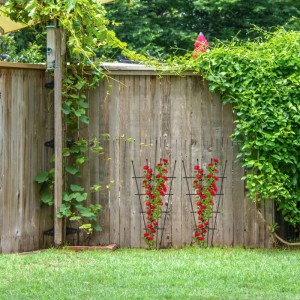 Relaxdays Rankgitter 2er Set Stahl Kunststoff Schwarz Höhenverstellbar 122 cm x 59 cm x 1,5 cm