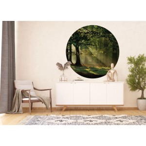 Runde, selbstklebende Tapete mit Waldlandschaft in Grün von Sanders & Sanders, Ø 140 cm.
