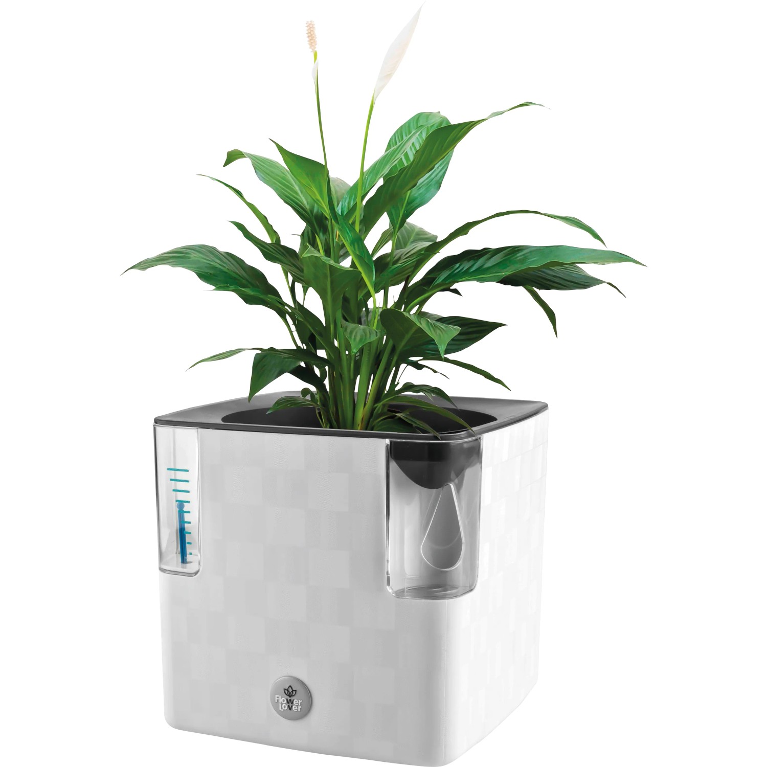 Indoor Kräutertopf mit Bewässerungssystem 14 x 14 x 14 cm Weiß kaufen bei OBI