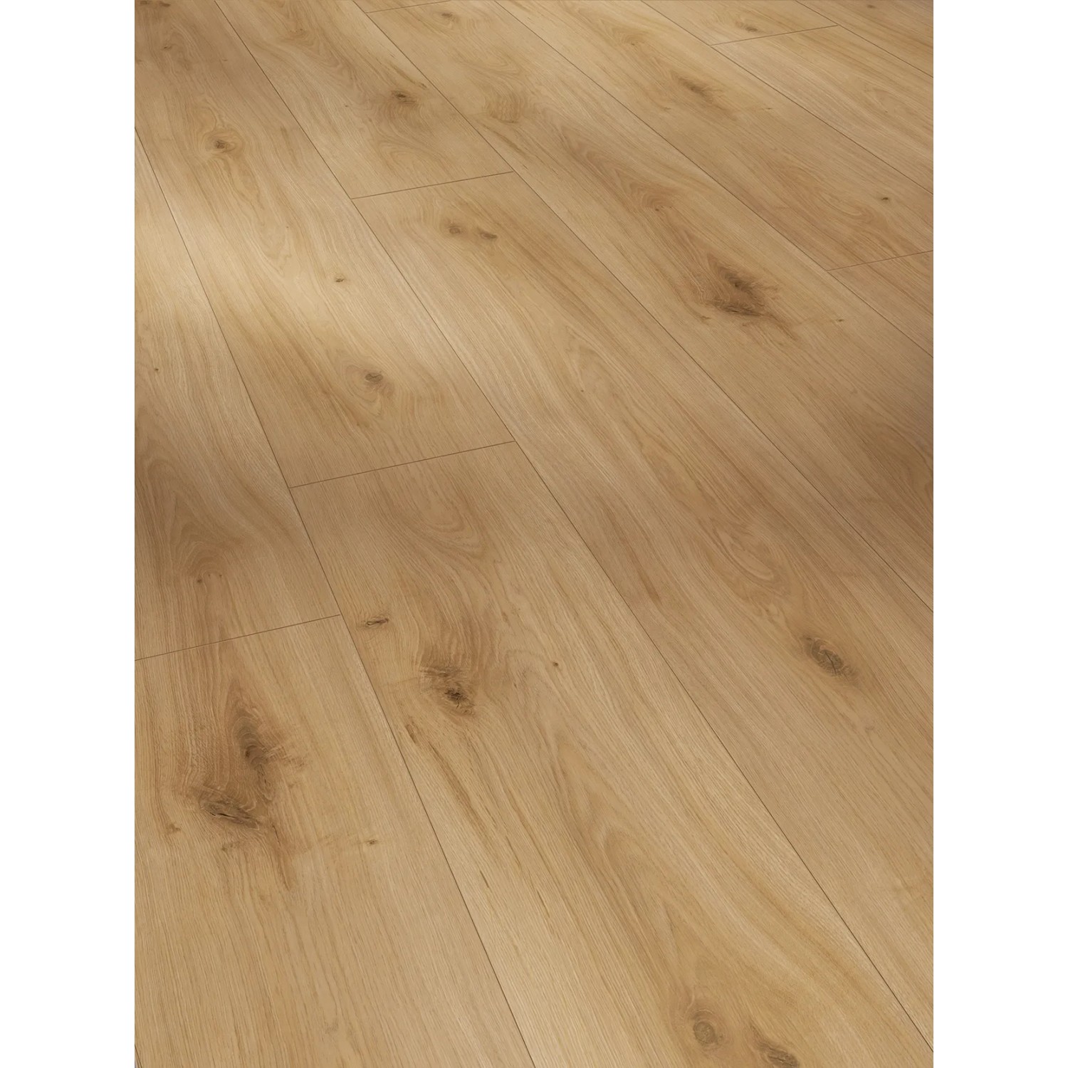 Parador Laminat Basic 600 Eiche Horizont Natur, wasserfest, 8mm stark.