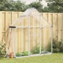 Silbernes Aluminium-Gewächshaus mit transparenten Polycarbonatplatten im Garten. Ideal für Pflanzenzucht.