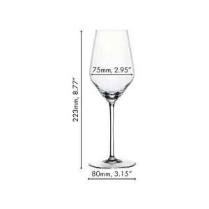 Spiegelau Style Champagnerglas aus Kristallglas, 310 ml, mit Maßen: 22,3 cm Höhe, 7,5 cm Durchmesser.