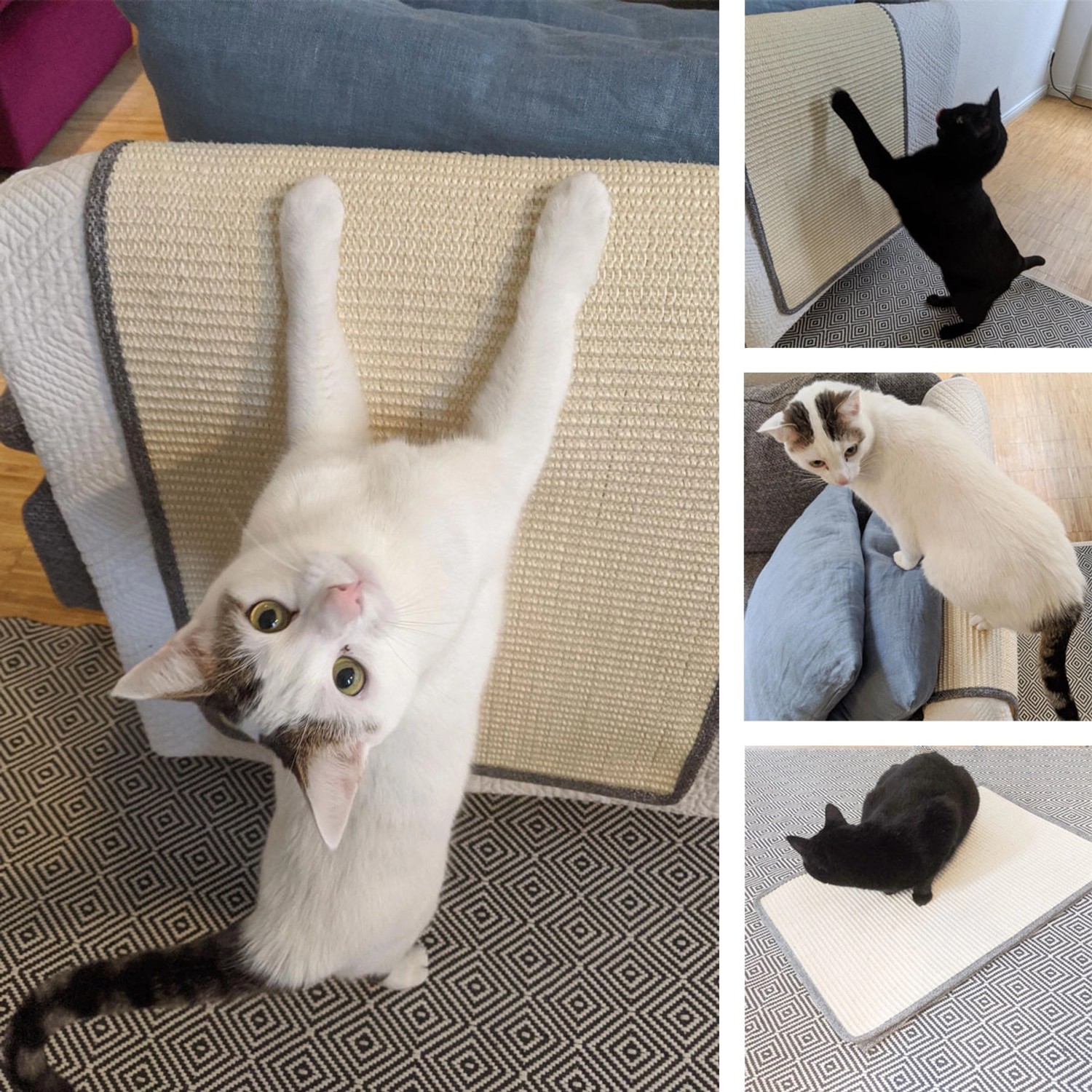 eyepower XXL Sisal Kratzschutz für Möbel, 130x44cm, mit Katzen beim Kratzen.