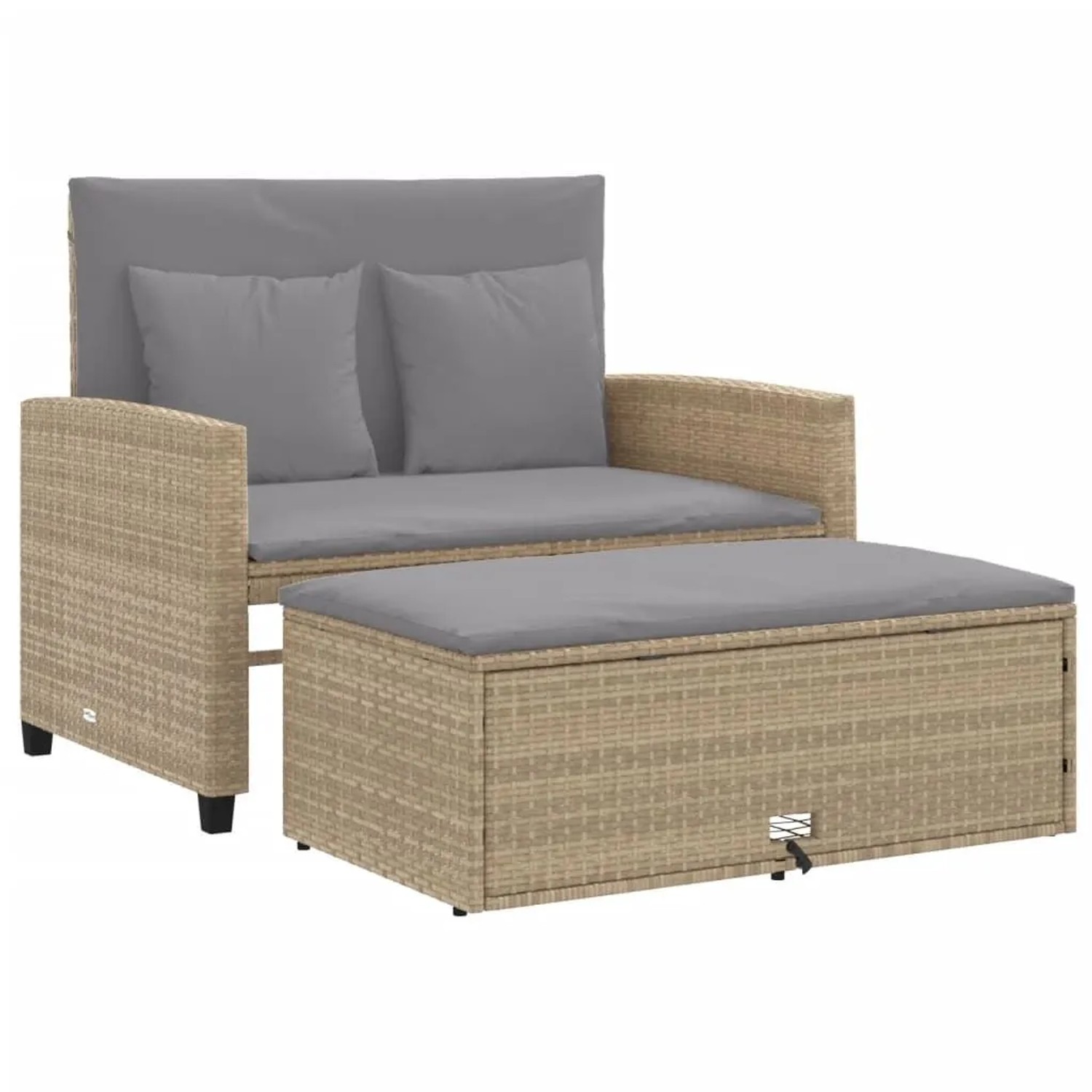 vidaXL Gartensofa mit Kissen 2-Sitzer Beige Poly Rattan 365136 günstig online kaufen