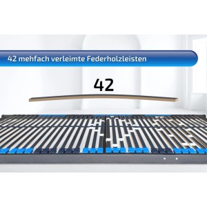 Matratzen Perfekt Lattenrost mit Schulteranpassung 140x200 cm 42 Leisten Manuell Verstellbar 7 Zonen