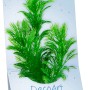 Tetra DecoArt Plant S Green Cabomba, naturgetreue Kunstpflanze für Aquarien.