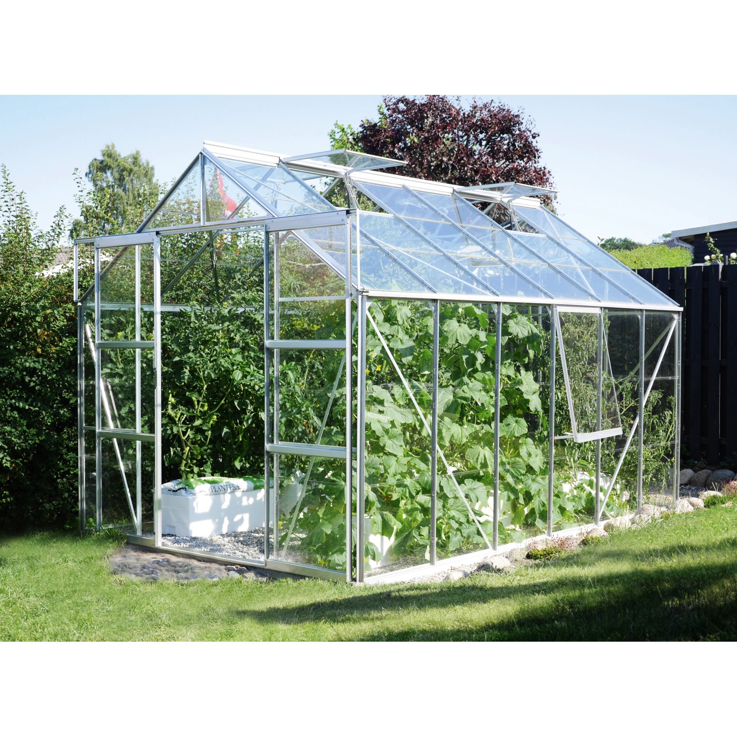 Vitavia Gewächshaus Jupiter 9900 aus Alu mit Pflanzen. Begehbares Garten Gewächshaus.