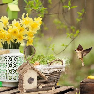 Relaxdays Vogelhaus Buchsbaum Natur Zum Aufhängen 29 cm x 20 cm x 12 cm 0,45 kg