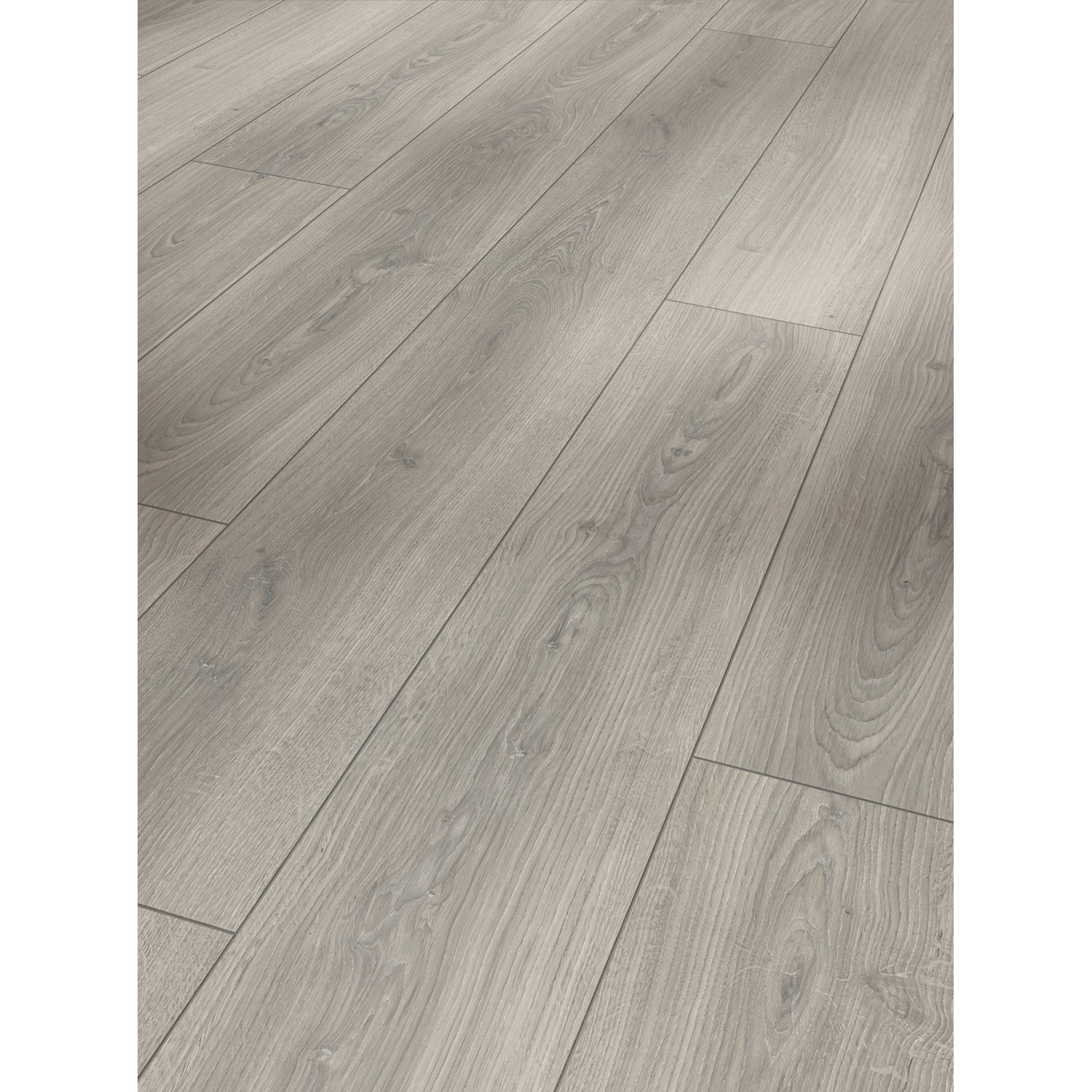 Parador Laminat Trendtime 6 Eiche Studioline Lichtgrau Naturmattstruktur Gefast