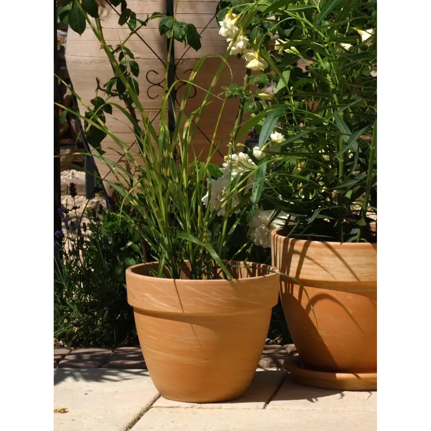 Terrakotta Pflanztopf Levante  30 cm Caramel kaufen bei OBI