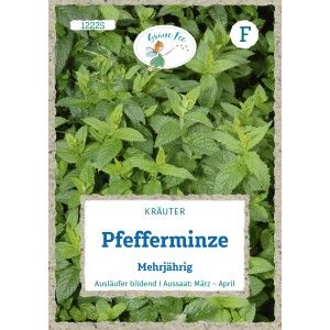 Saatgutpackung Grüne Fee Pfefferminze: Mehrjährige Kräutersamen für aromatischen Tee und Küche.