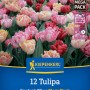 Kiepenkerl Blumenzwiebel Mega-Pack Gefüllte frühe Tulpen Foxtrot Mix 12 Stück