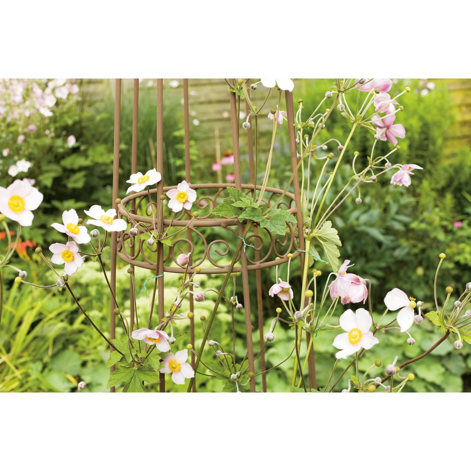 71-teiliges Pflanzen-Bindeset zur Fixierung von Pflanzen im Garten.