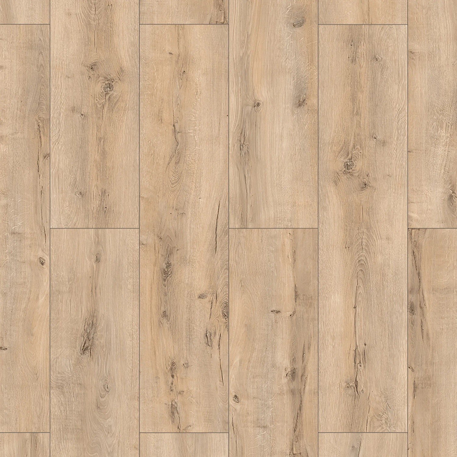 Classen Laminat 8 mm Wasserfest Oak Beige: Dielen in heller Holzoptik mit Fugen.