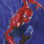 Komar Vlies Fototapete: Spider-Man im Spinnennetz, blau-rot. Wanddeko für Kinderzimmer.