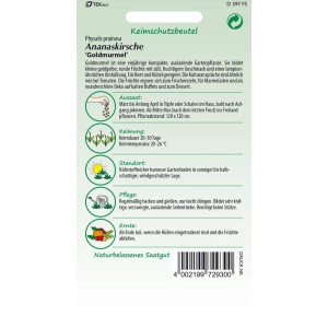 SAMEN PFANN Physalis Goldmurmel