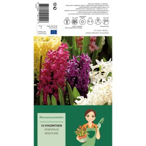 Hyazinthen-Mischung, 12 Stück Blumenzwiebeln in verschiedenen Farben.