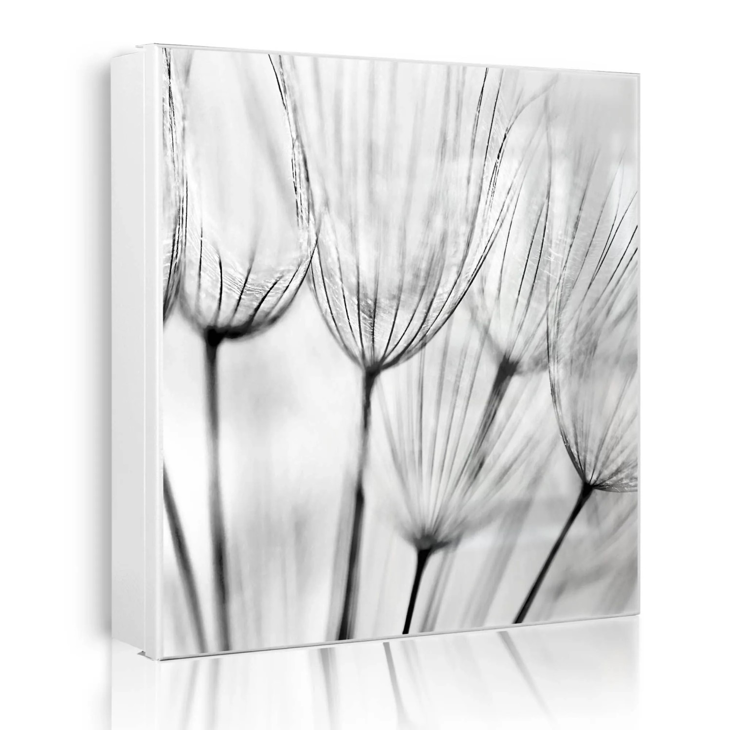 Banjado Großer Schlüsselkasten Metall 30x30cm Weiß Scharnier Links 50 Haken Beschreibbar Magnetisch Motiv Pusteblumen Sw