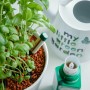 Seramis Bio-Vitalnahrung mit Basilikum, Gießanzeiger und Gießkanne.