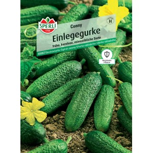 Sperli Einlegegurke Conny F1-Hybride, grüne Gurken und gelbe Blüte auf der Samenpackung.