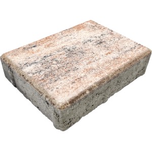 Diephaus Pflasterstein Ringo Muschelkalk, 20x15x5 cm. Pflasterstein mit nuancierter Farbgebung.