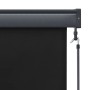 Detailaufnahme: Anthrazitfarbenes vidaXL Außenrollo, 60x250 cm, mit Handkurbel.