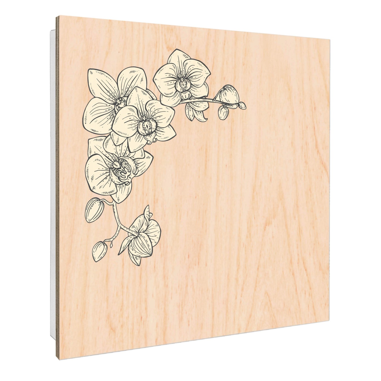 Banjado Großer Schlüsselbox Holz 30x30cm Weiß Scharnier Rechts 50 Haken Sch günstig online kaufen