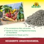 Neudorff Urgesteins-Mehl 2,5 kg. Graues Gesteinsmehl und Korb mit frischem Obst und Gemüse. Bodenhilfsstoff für Pflanzen.