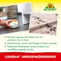 Neudorff Loxiran Ameisen-Köderdose in Anwendung, Ameisen auf Köder. Effektive Schädlingsbekämpfung im Haus.