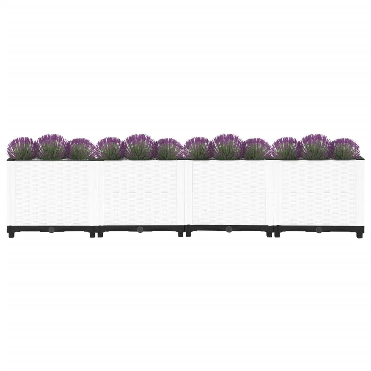 Weißes vidaXL Hochbeet (160x40x38 cm) aus Polypropylen mit Pflanzen.
