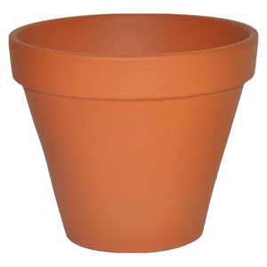 Kleiner Pflanztopf aus Terrakotta, Ø 5 cm, ideal für Zimmerpflanzen und Kräuter.