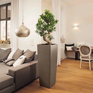 Hochglanz taupe Lechuza Cubico Alto Premium Pflanzgefäß 40x40 cm mit Pflanze im Wohnraum.