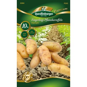 Quedlinburger Pflanzkartoffeln 'Asparges', gelbe, längliche Form, festkochend.