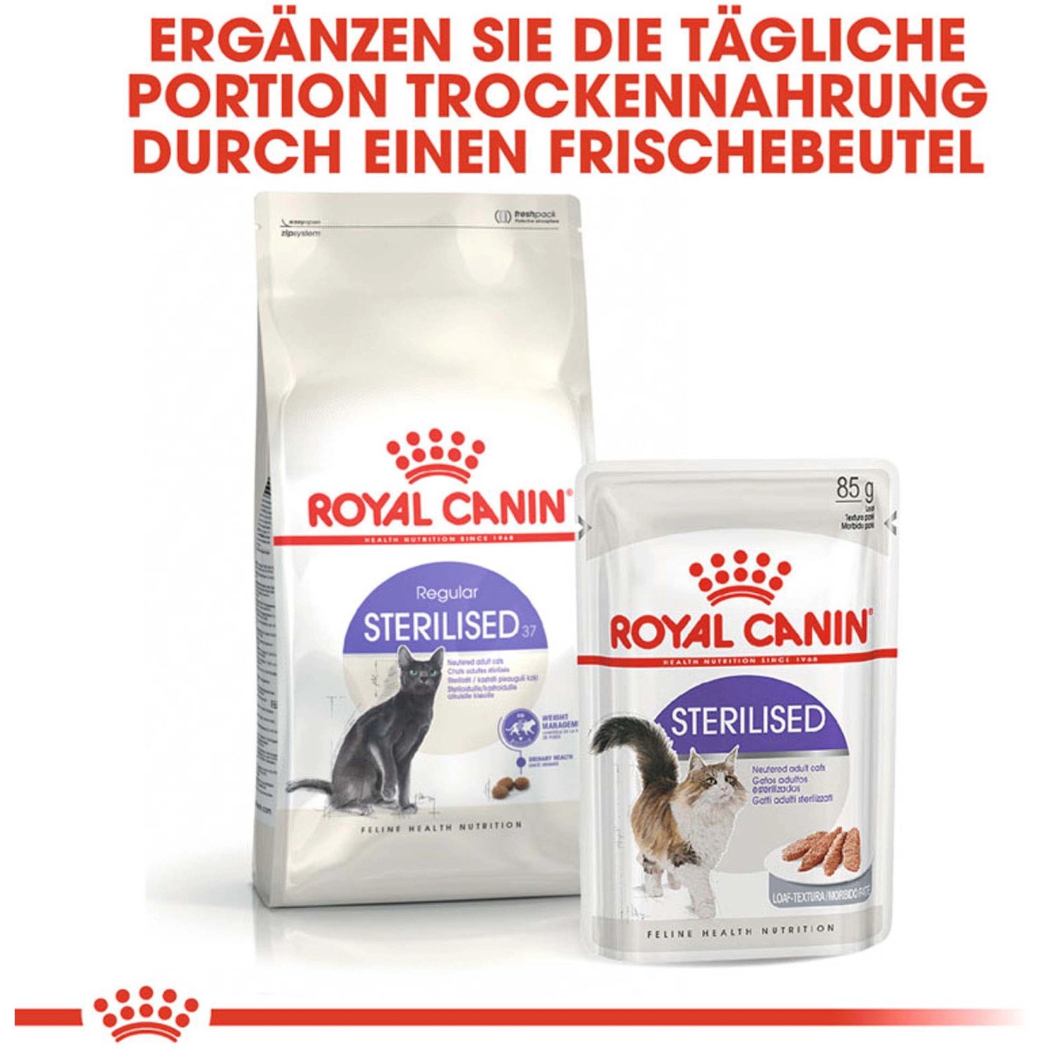 Royal Canin Sterilised Trockenfutter für kastrierte Katzen 10 kg kaufen bei OBI