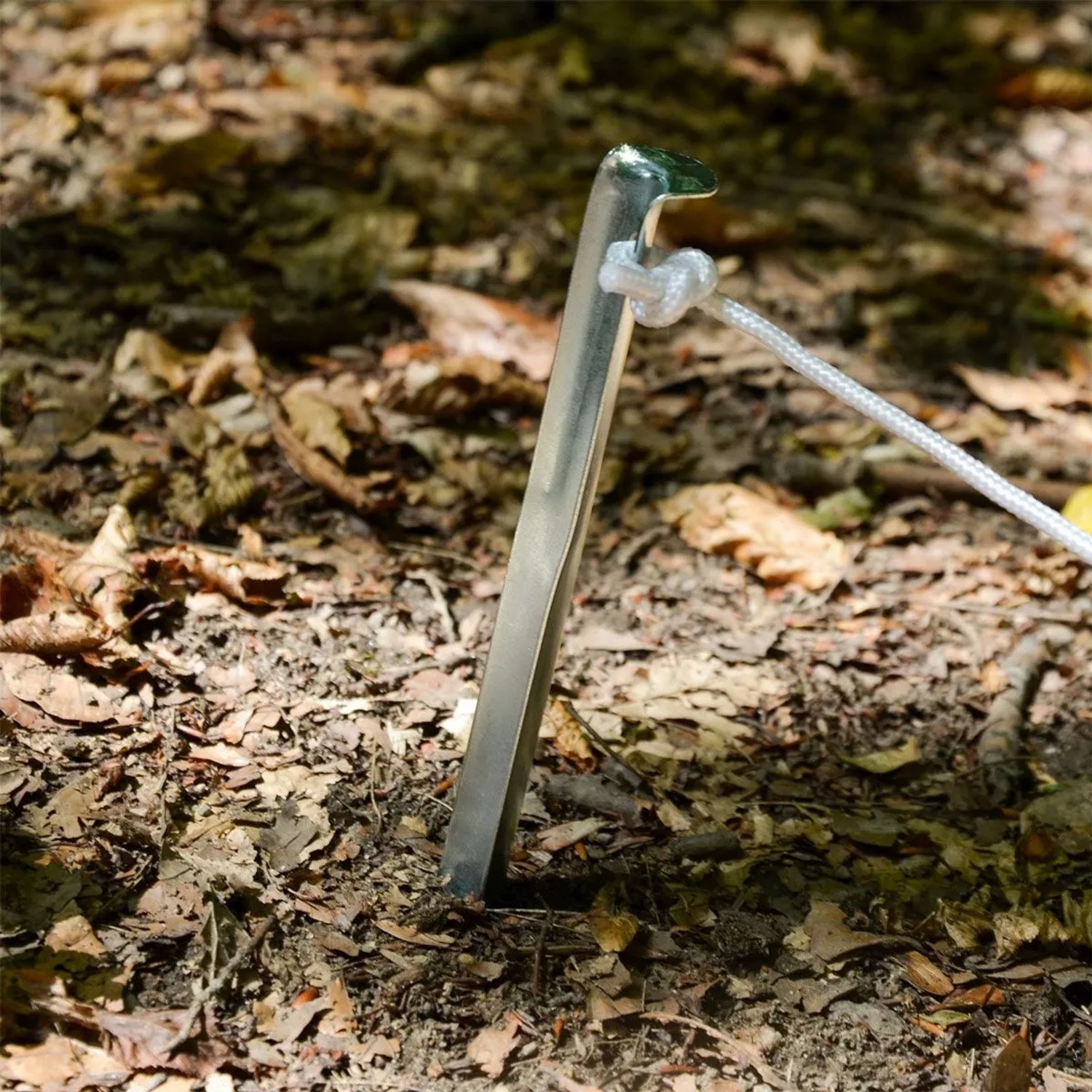 Silberfarbener AMANKA V-Zelthering aus verzinktem Stahl im Waldboden mit weißer Spannleine. Ideal für Camping.