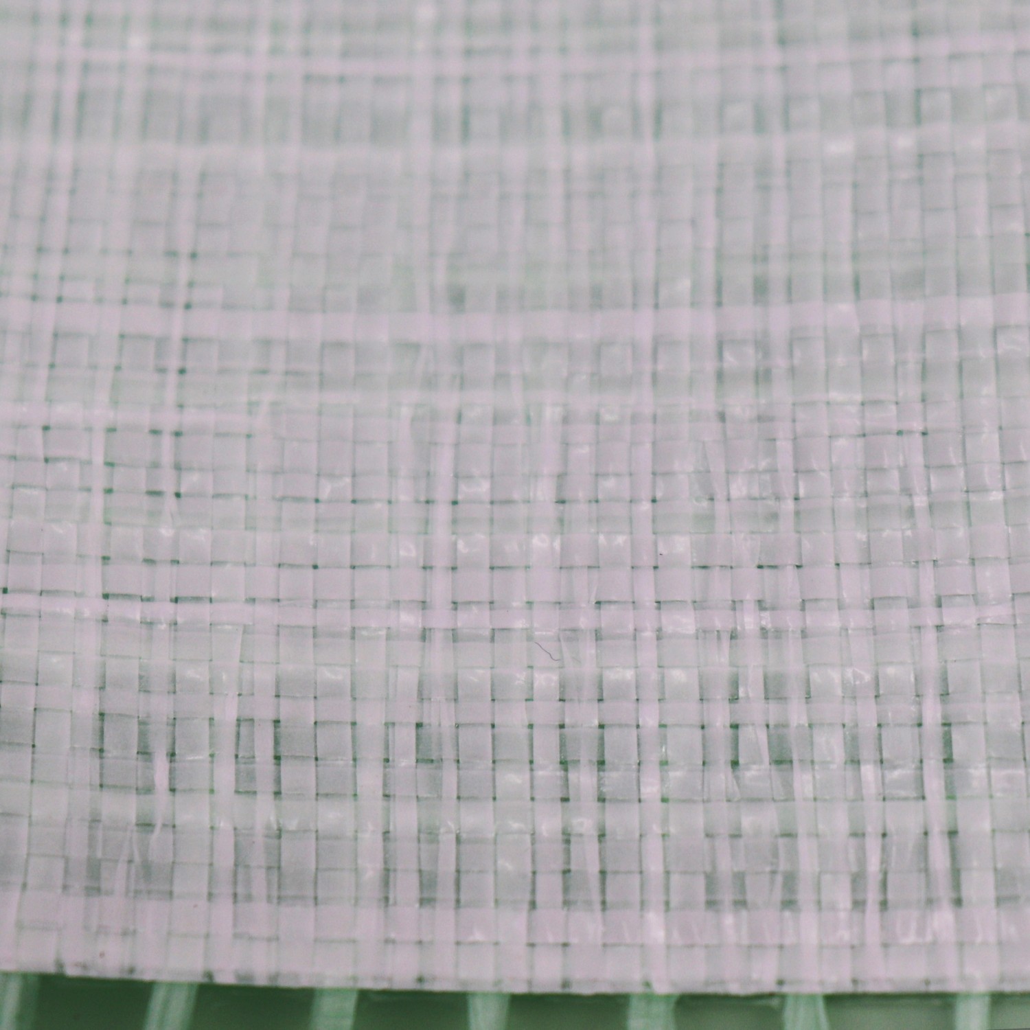 Detailaufnahme der transparenten Aquagart Gitterfolie, verstärkt mit grünem Gittergewebe.