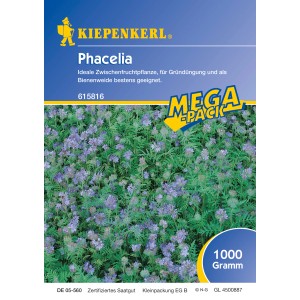 Kiepenkerl Phacelia Samen zur Gründüngung und Bienenweide, Packung mit blauen Blüten.