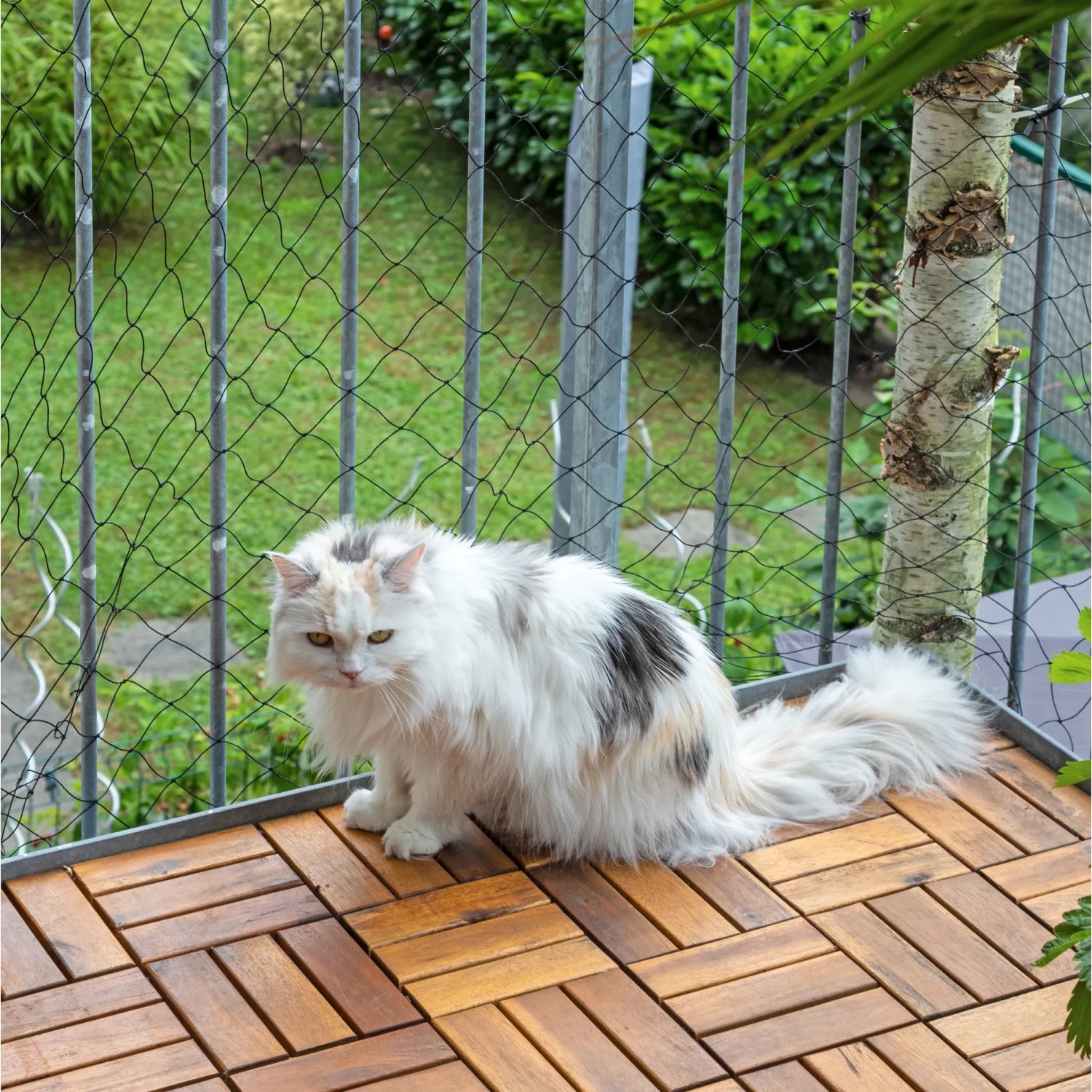 Katze sitzt vor schwarzem Windhager Katzenschutznetz (Maschenweite 50mm) auf Balkon.