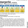 Kiepenkerl Margerite Weiß Samenpackung für Staudenbeete.