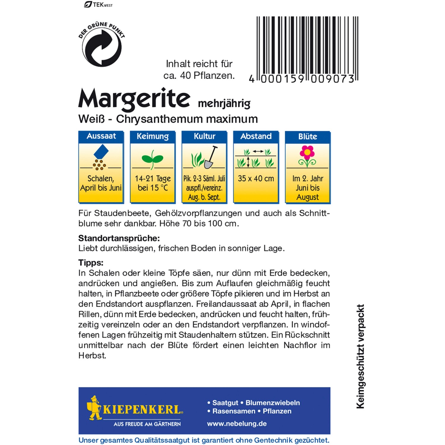 Kiepenkerl Margerite Weiß Samenpackung für Staudenbeete.