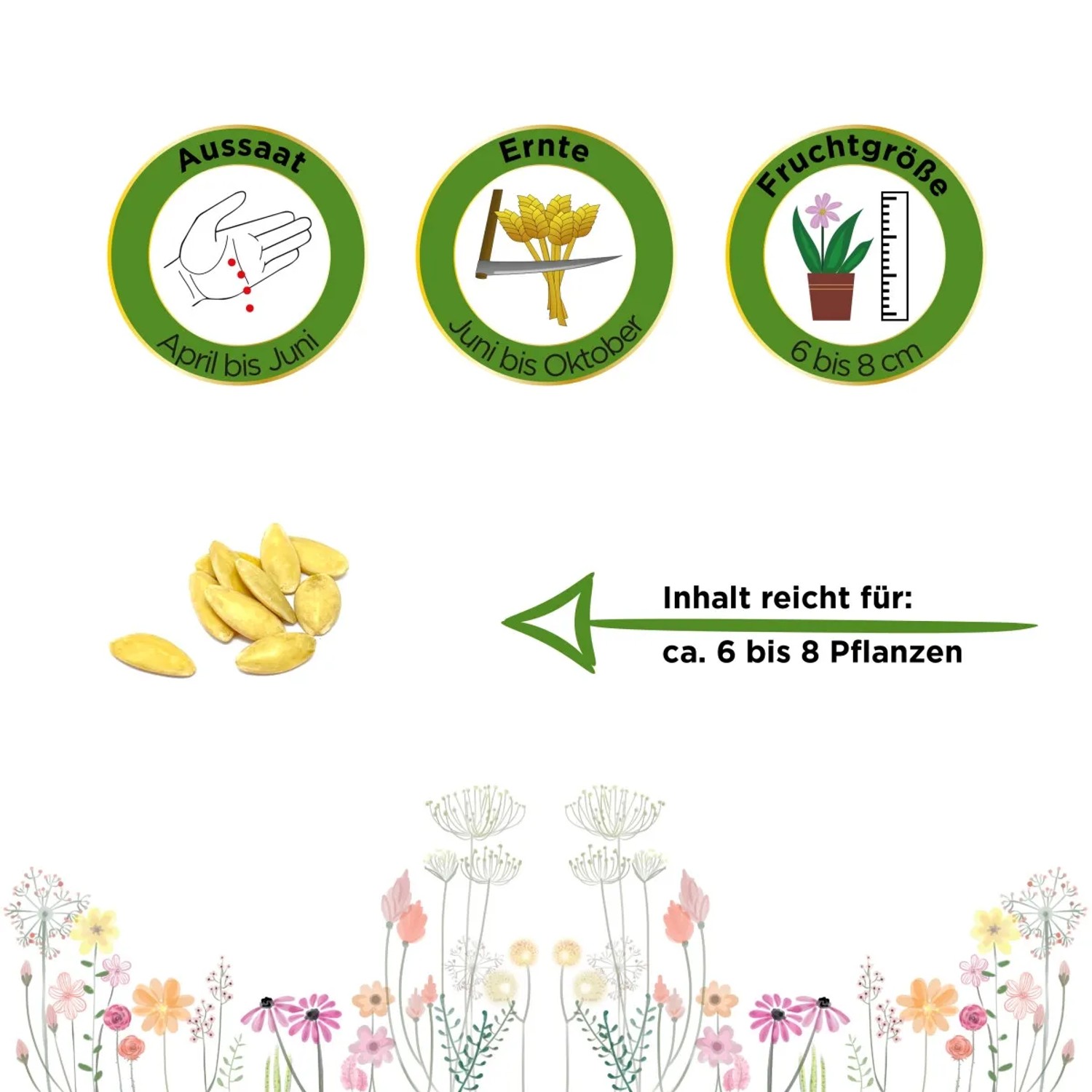 Samen der Zitronengurke 'Lemon' von Deine Gartenwelt: Gelbe Gurkensamen für ca. 6 Pflanzen.