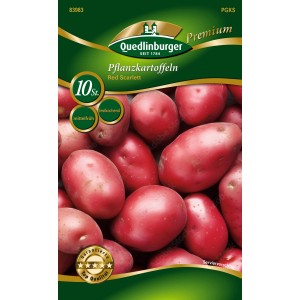 Quedlinburger Pflanzkartoffeln Red Scarlett, festkochend und mittelfrüh.