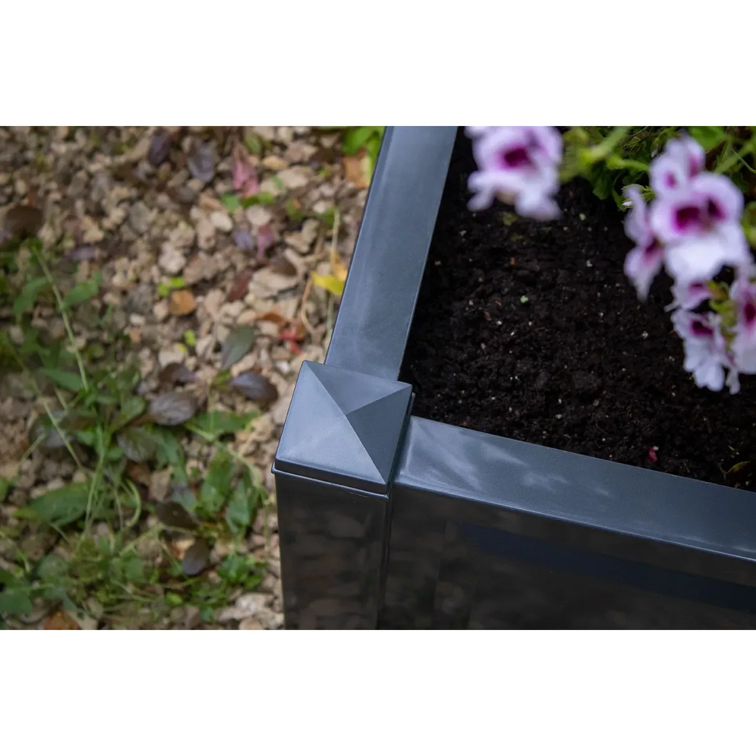 Quadratischer, anthrazitfarbener KHW Pflanzkasten mit Erde und Blumen.