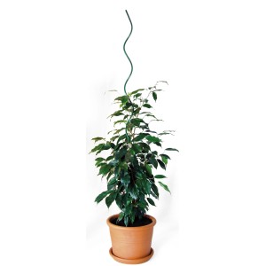 Bellissa Pflanzenspirale, 110 cm, grün, für Tomaten und andere Rankpflanzen im Topf.