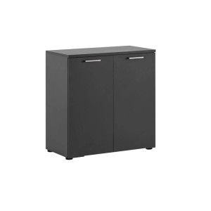Anthrazitfarbener PROREGAL Aktenschrank Hippo mit 2 Flügeltüren, 84x80x41 cm.