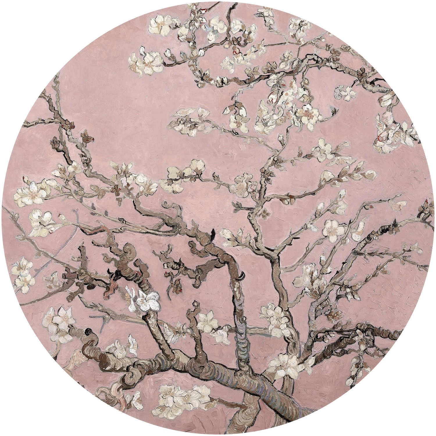 Erfurt Fototapete Vlies Almond Blossom Van Gogh Rosé Ø 284 cm