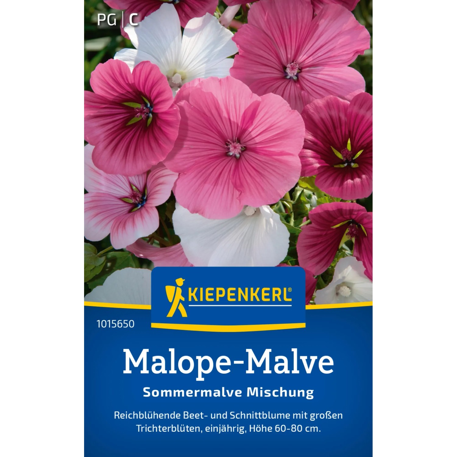 Kiepenkerl Malope-Malve "Sommermalve Mischung" Malva sylvestris